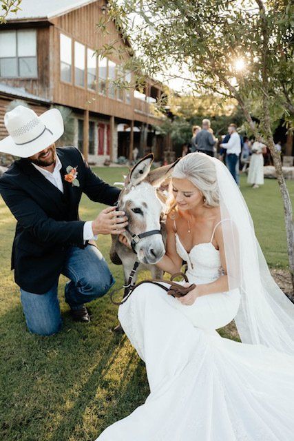 Bride and groom with wedding donkey