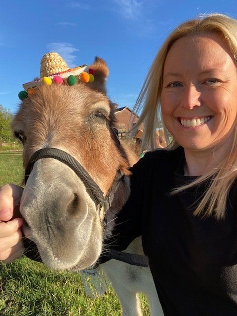 Ginger colored beer burro