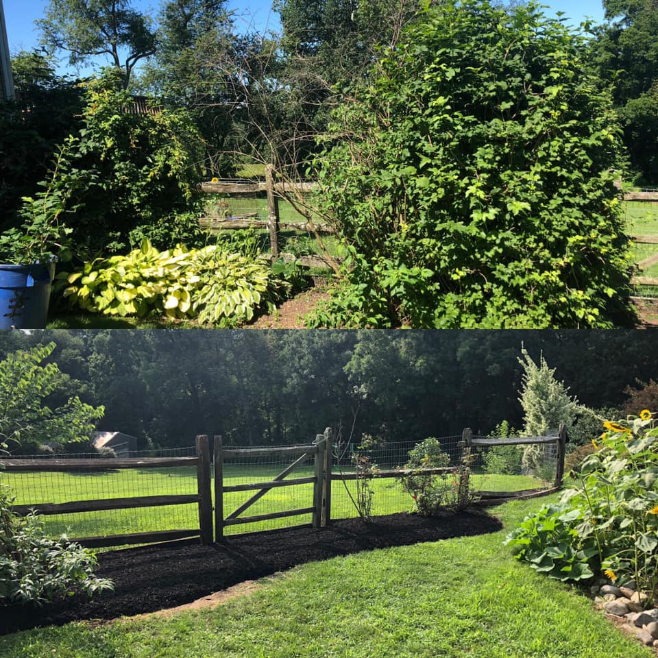 Commercial Landscaping — Before and After Landscaping Service in Quarryville, PA