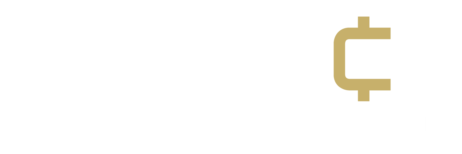Global Coin Solutions