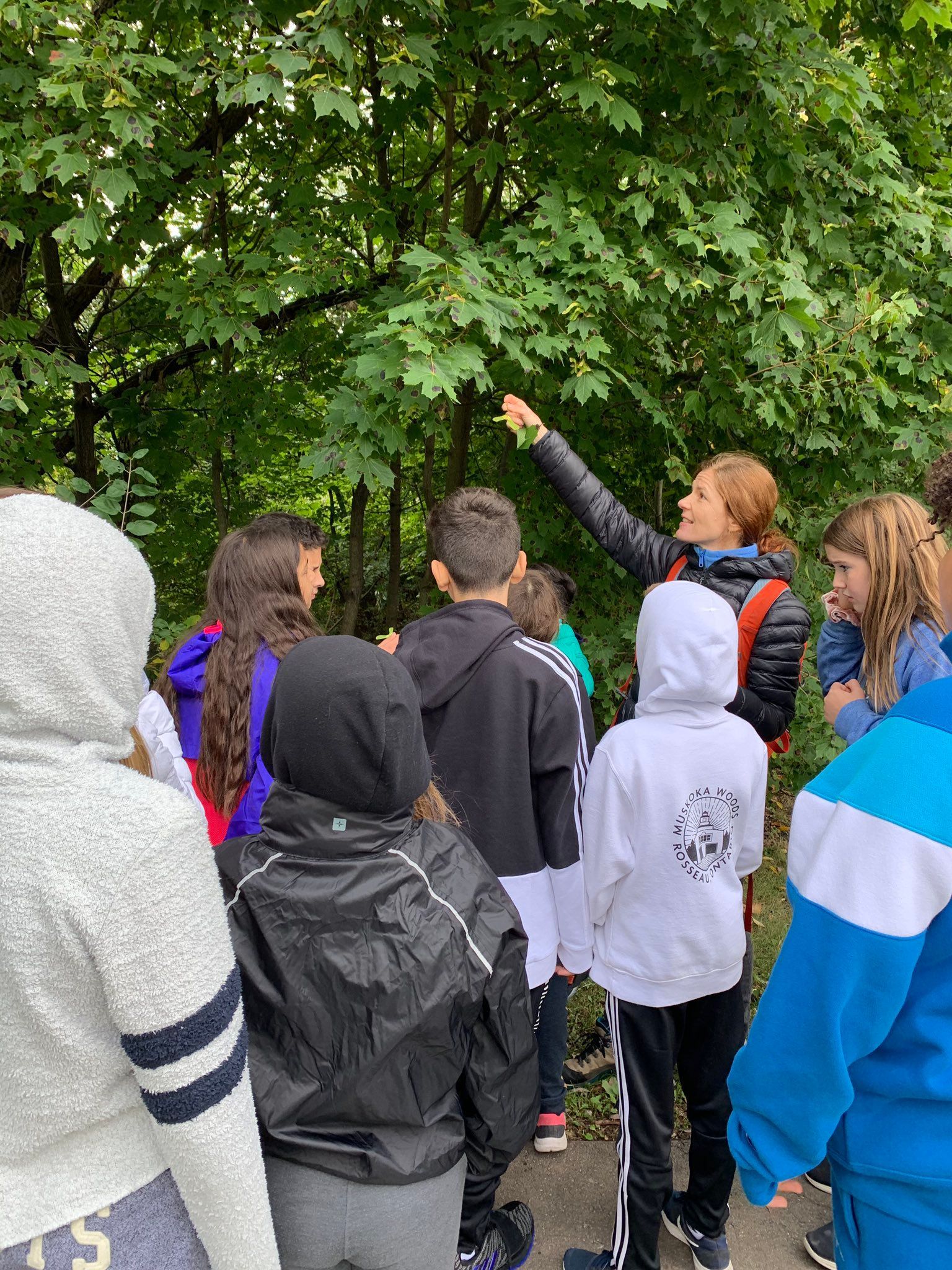 Biodiversity Discovery Walks: Grades JK - 8