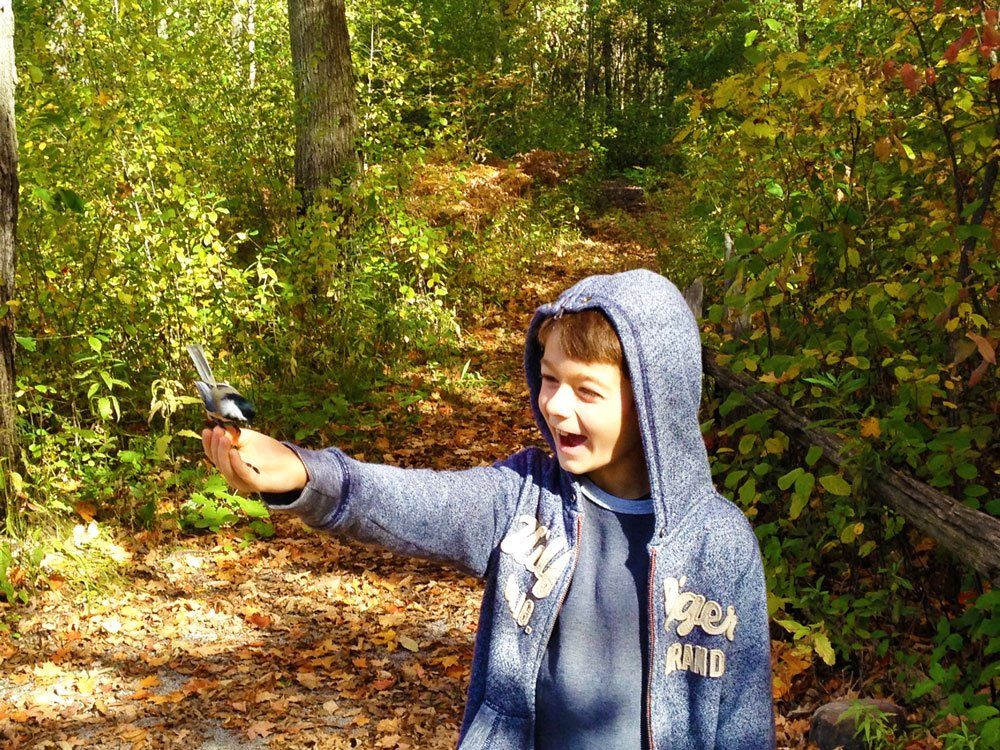 Sharing With Nature Lesson Plan Grades K - 5