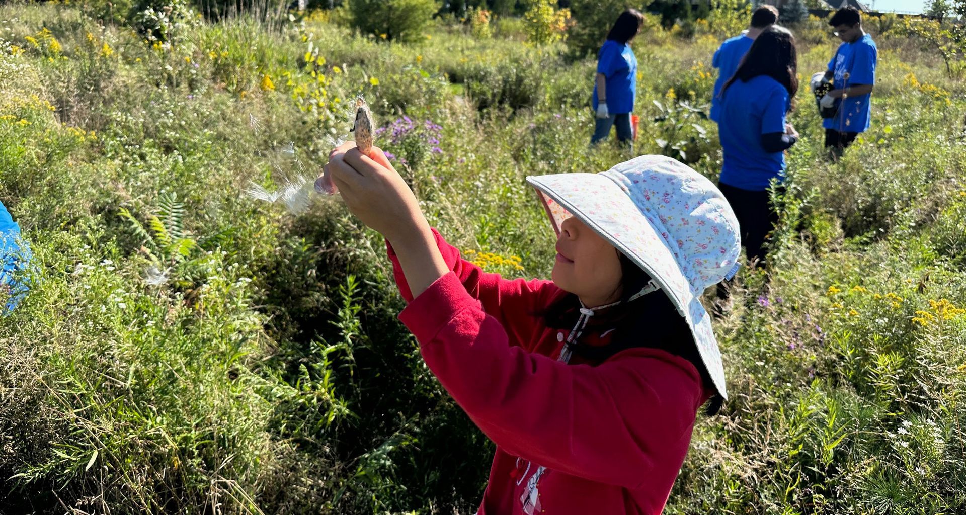 Young girl collecting seeds