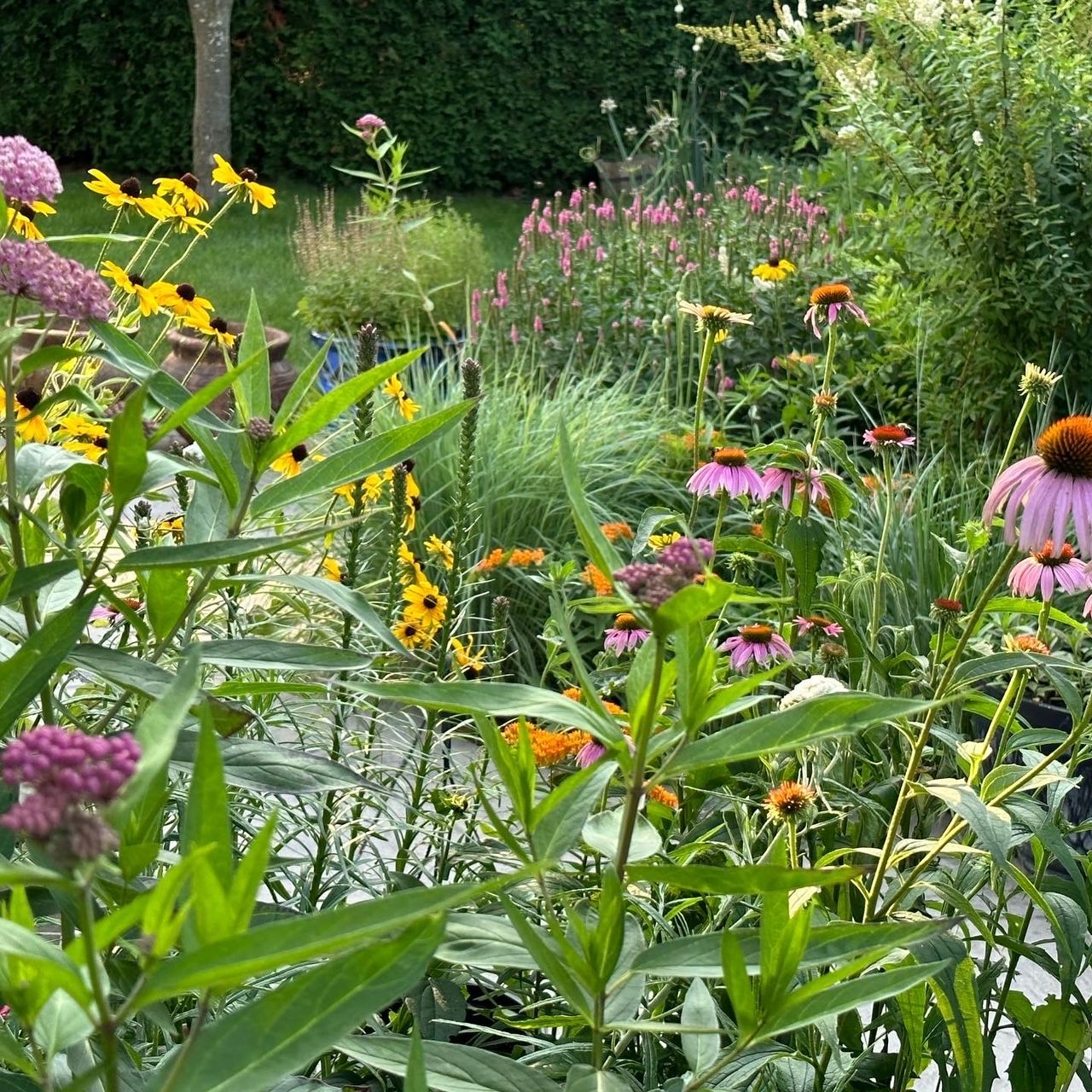 Planting a Schoolyard Pollinator Garden