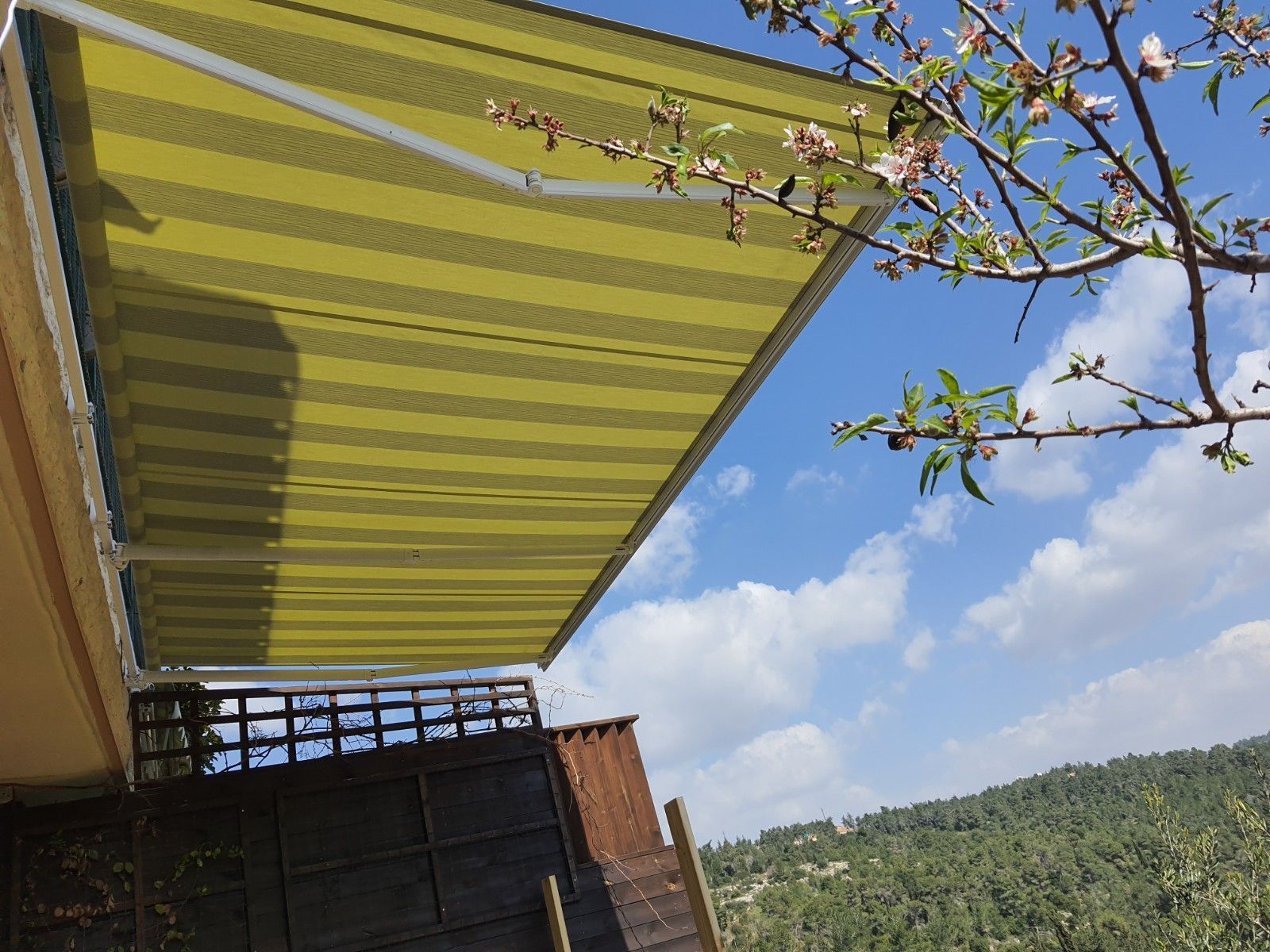 סוכך זרועות חשמלי