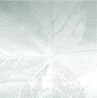 Sycamore Tile — Lexington, SC — Absolute Glass Inc.