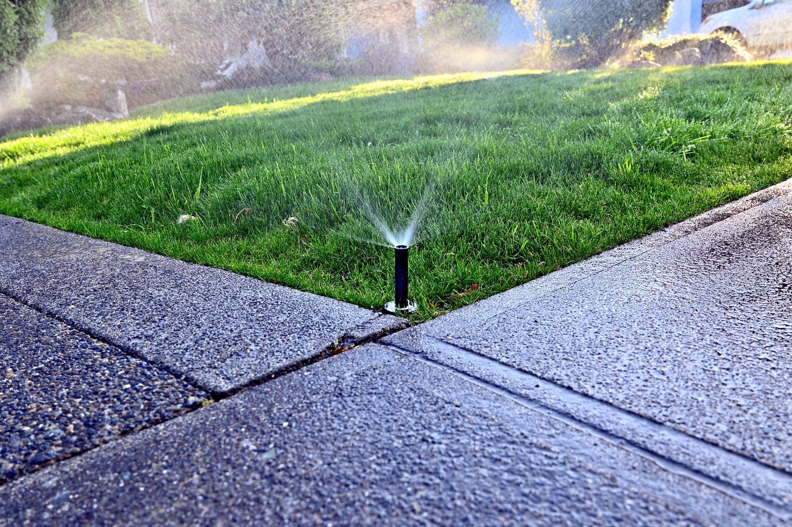 Sprinkler watering green lawn, next to gray concrete sidewalk, water droplets in the air.