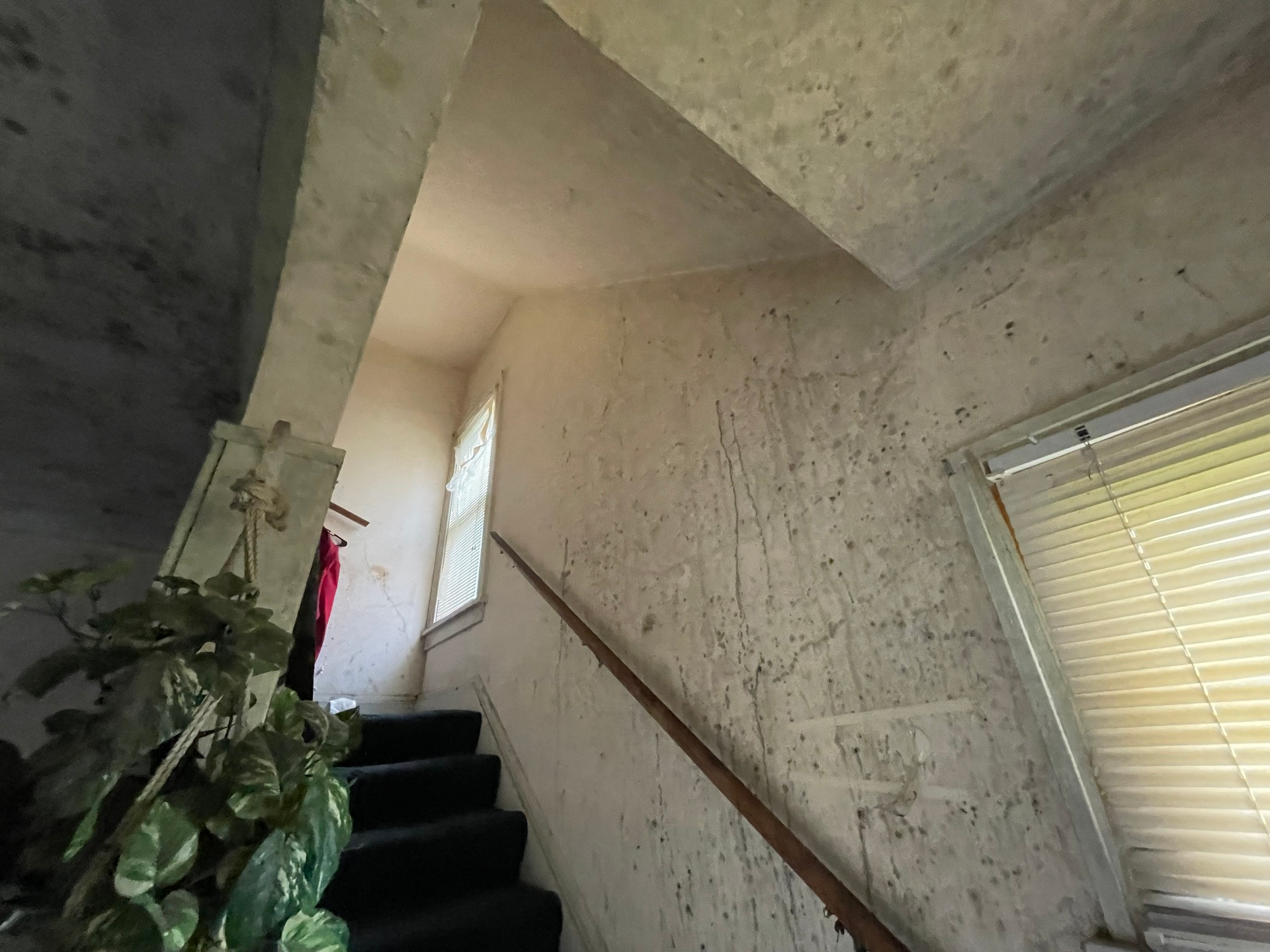 This house was neglected for several years and had a severe mold problem, the owners called Unified Restoration Systems!