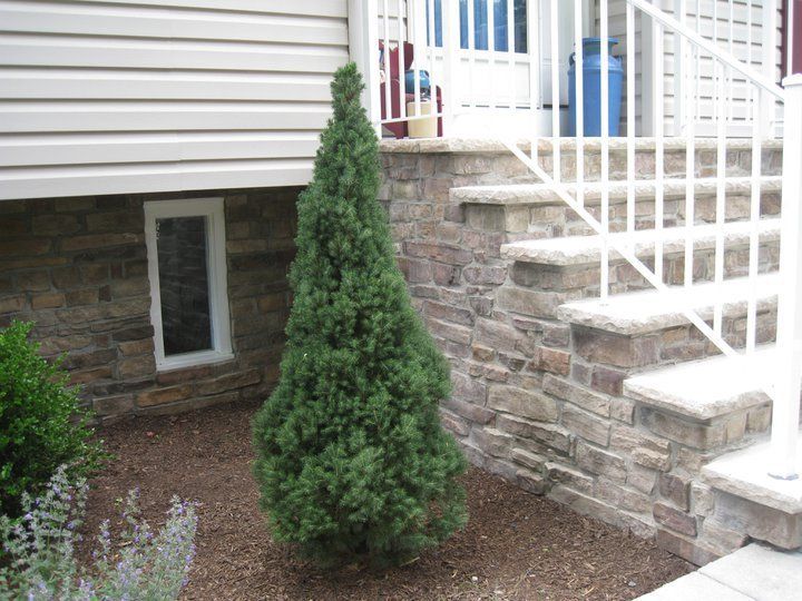 Sidewalks and Stairs at C&P Masons