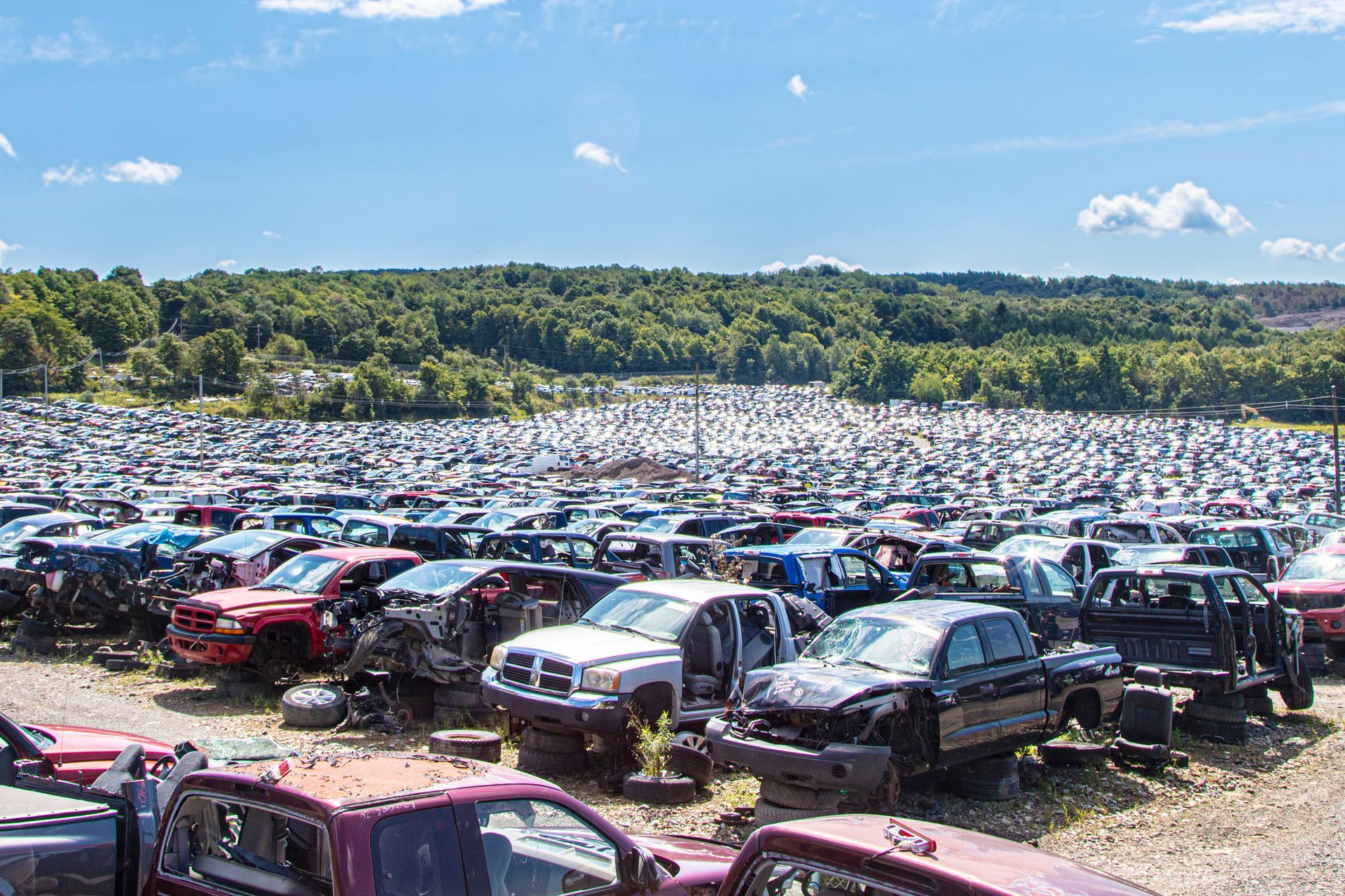 Junk cars and trucks piled in a large junkyard under sunlight – scrap vehicle salvage site.