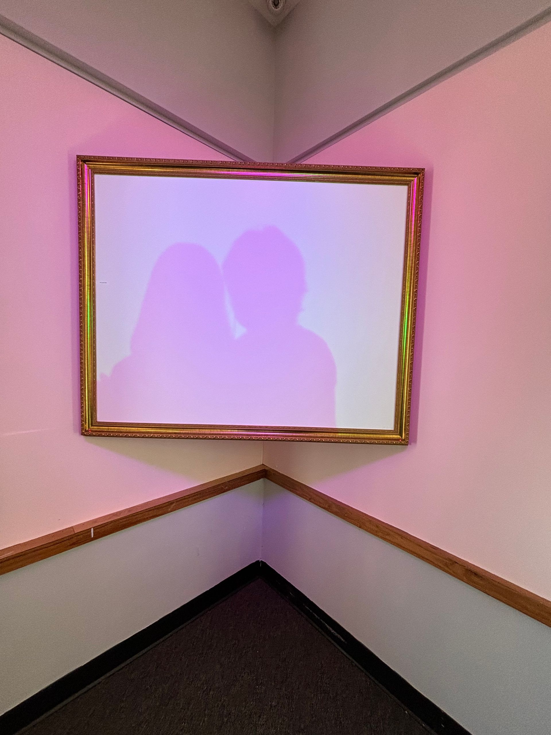 Wild Pink Exhibition