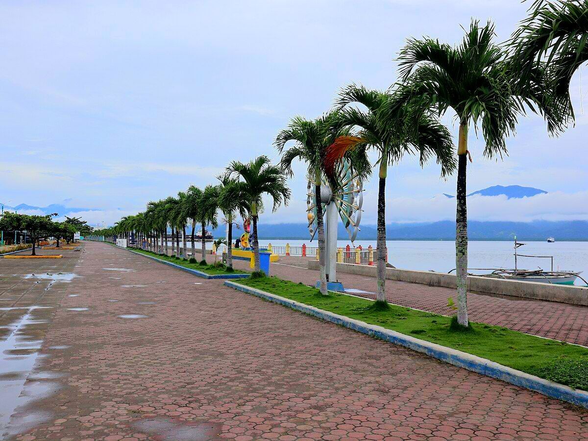 A row of palm trees line a cobblestone street in Baywalk Park