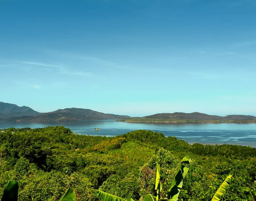 Panoramic view of Honda Bay from best Puerto Princesa hotel showcasing tropical forest and pristine waters