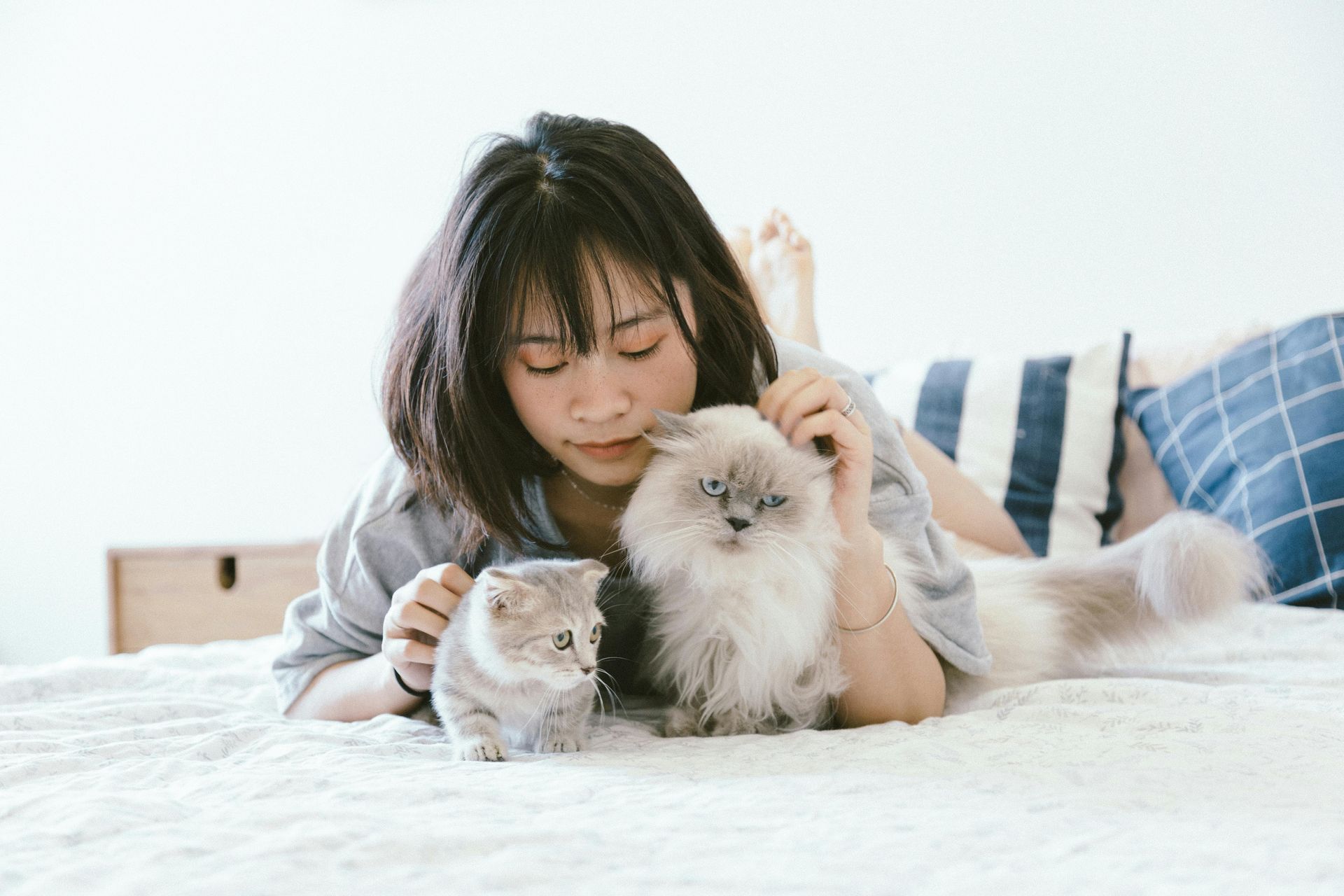 A woman is laying on a bed with two cats