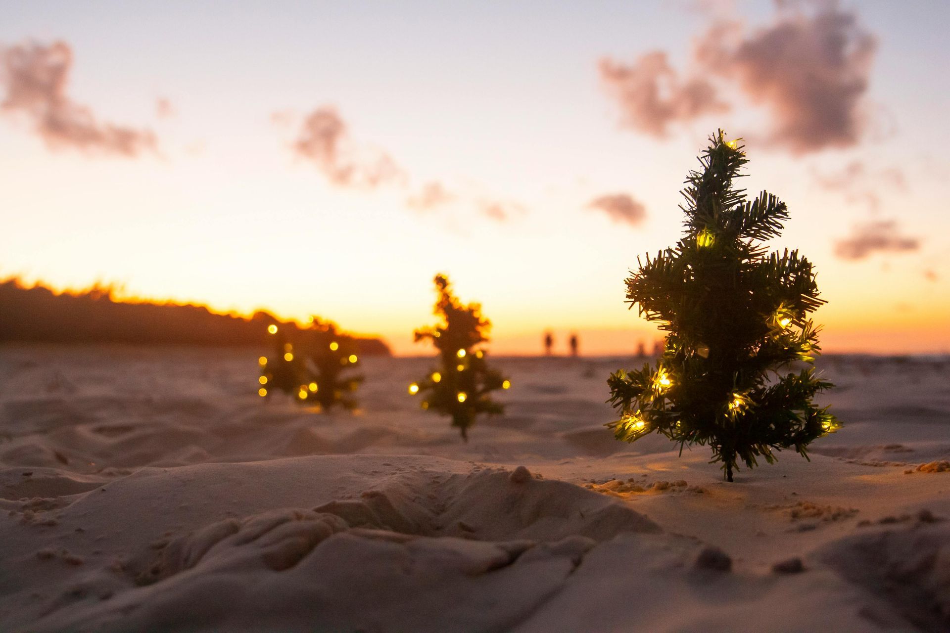 Three small Christmas trees with string lights on a sandy beach at sunset.