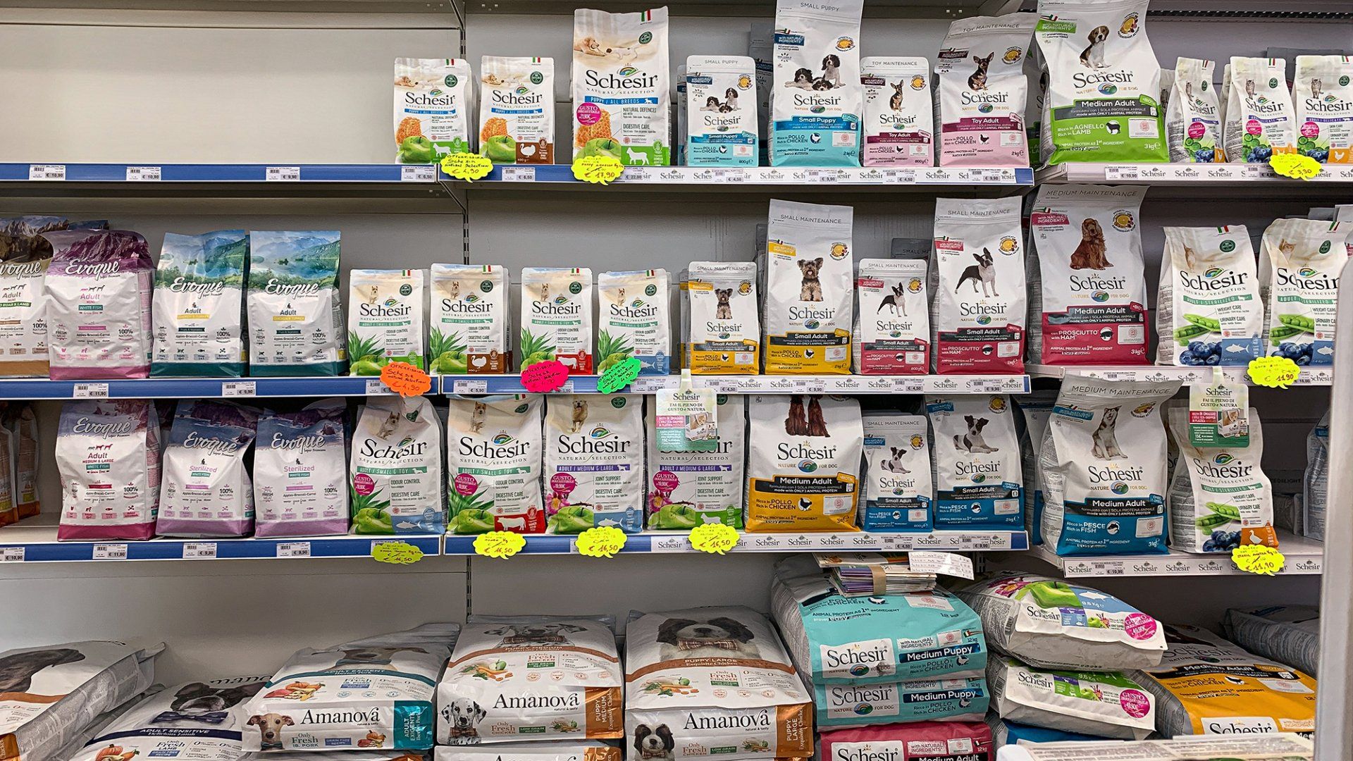 confezioni di cibo umido per cani