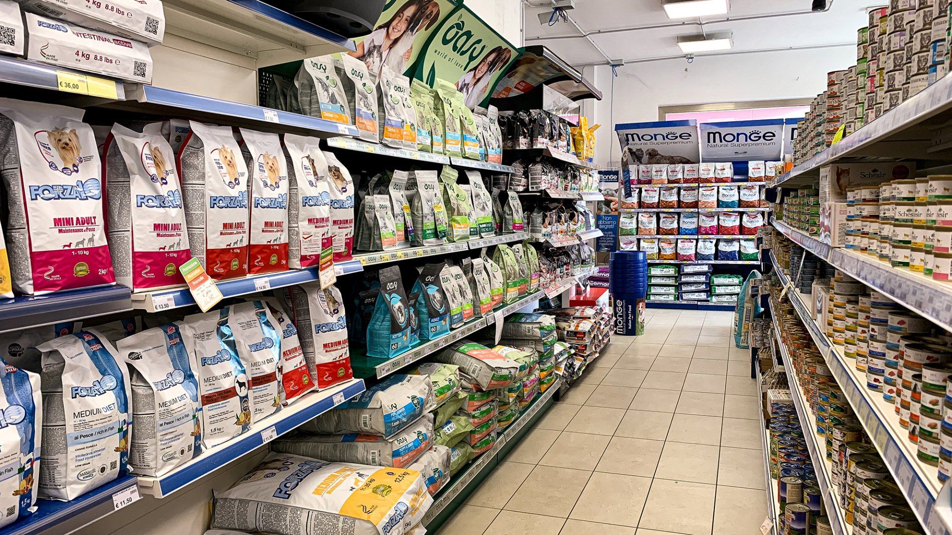 reparto cibo umido per cani