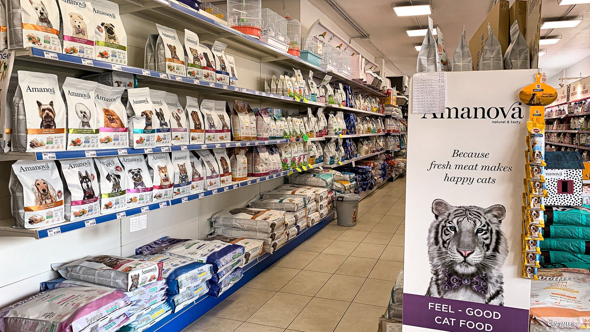 articoli antipulci per cani