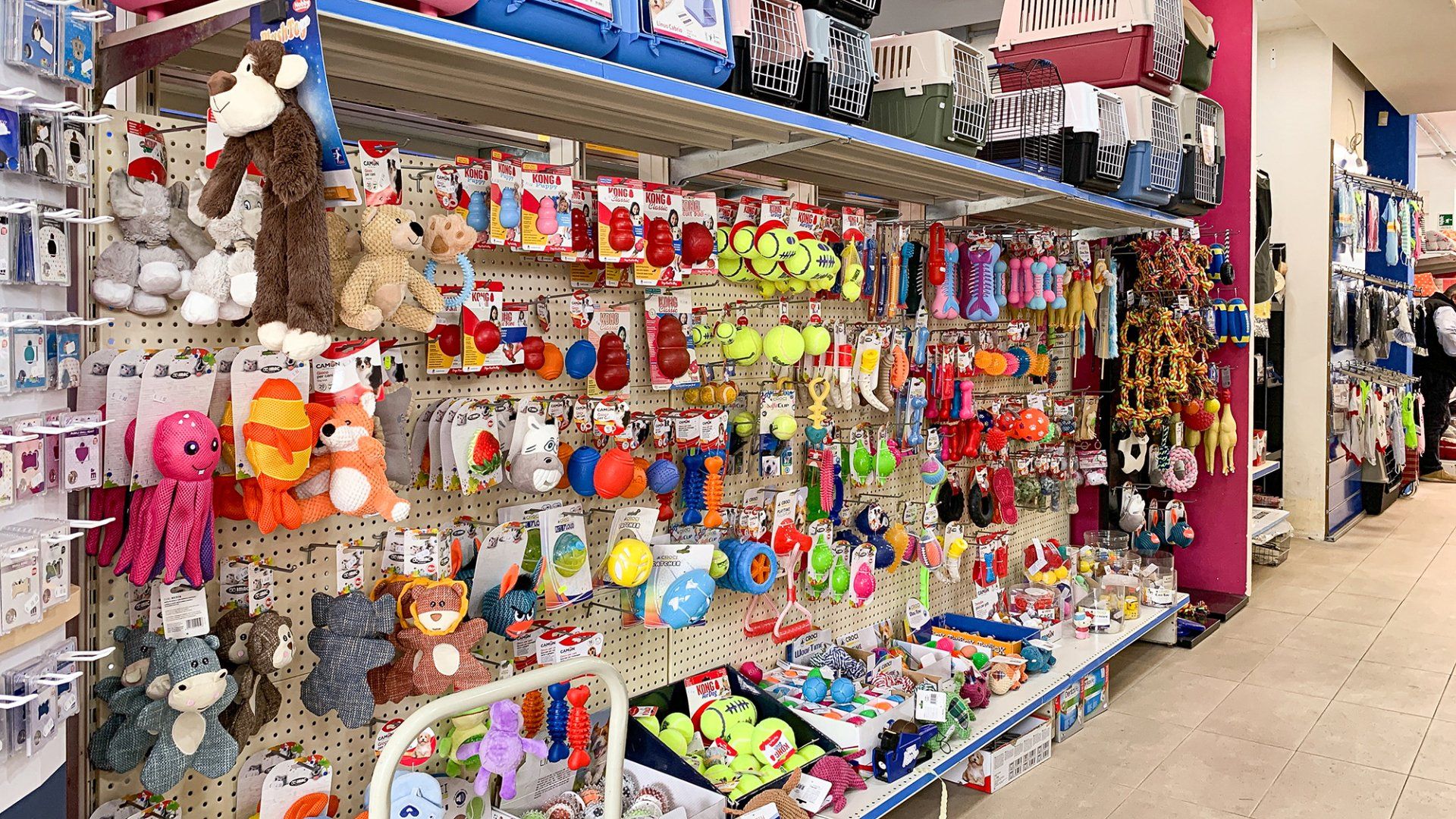 reparto accessori di un negozio di animali