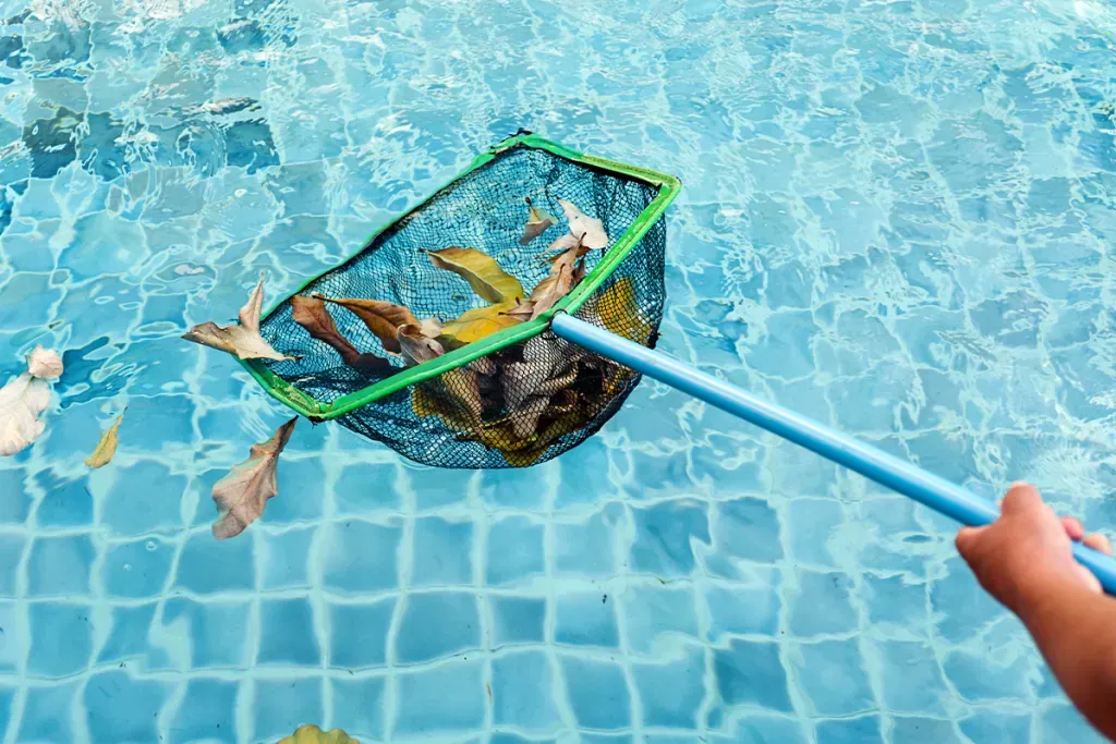 Skimming leaves a debris out of pool