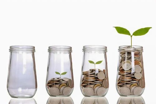 A plant is growing out of a jar of coins