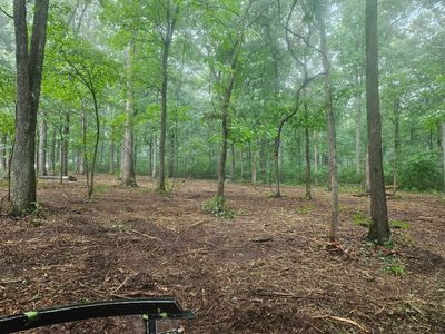 A wooded area with tall green trees and a forest floor covered in brown leaves, viewed from a slightly elevated position.