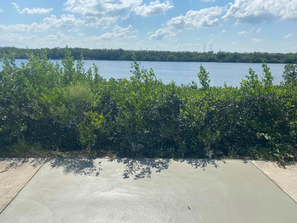 Concrete boat ramp leading to a calm body of water, with green foliage and trees along the shore under a blue sky.