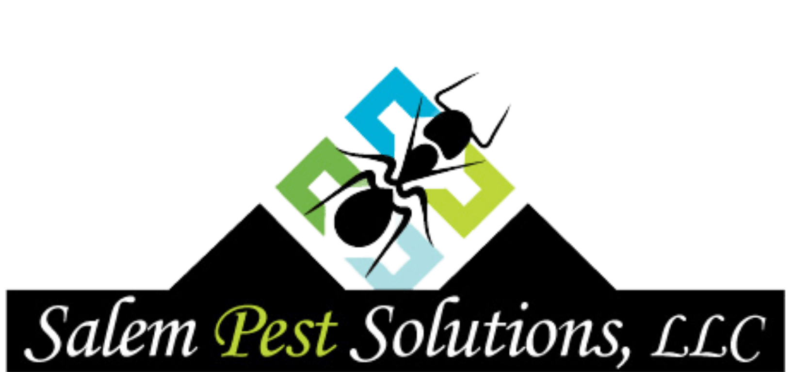 Salem Pest Solutions