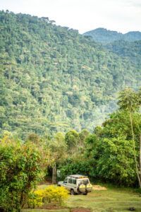 SUV parked in front of lush green hillside covered with trees.
