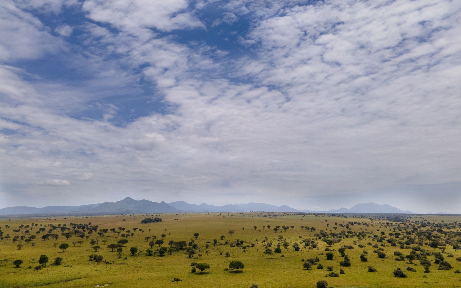 Overlooking a large lake surrounded by rolling hills and trees under a cloudy sky.
