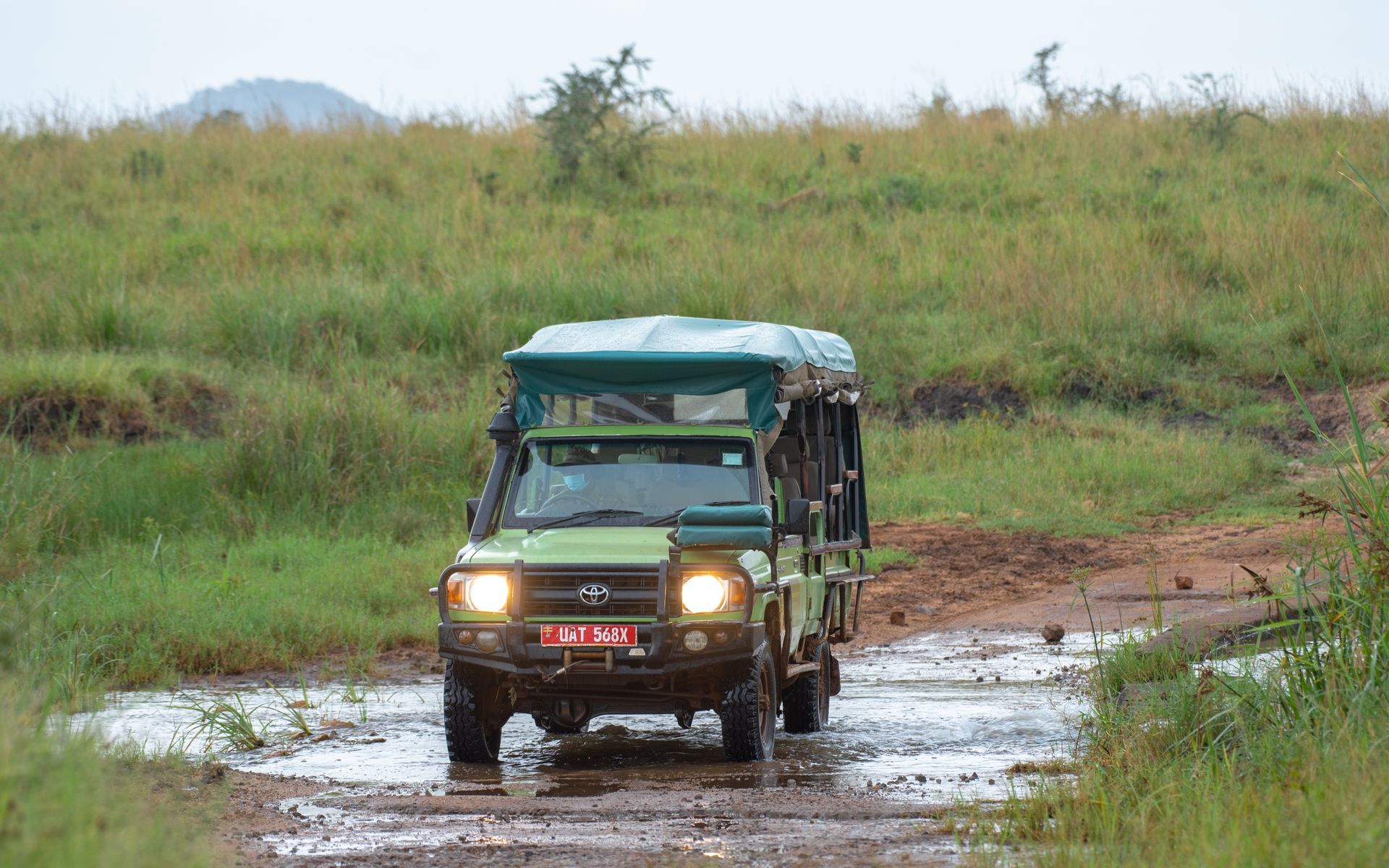 Green safari vehicle driving on a muddy road through a grassy landscape.