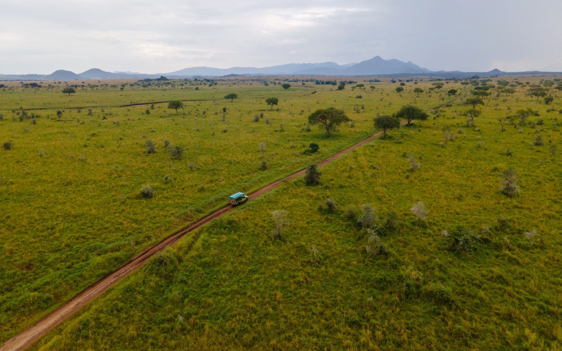 A vehicle travels on a dirt road through a savanna. Mountains are visible in the distance under a cloudy sky.