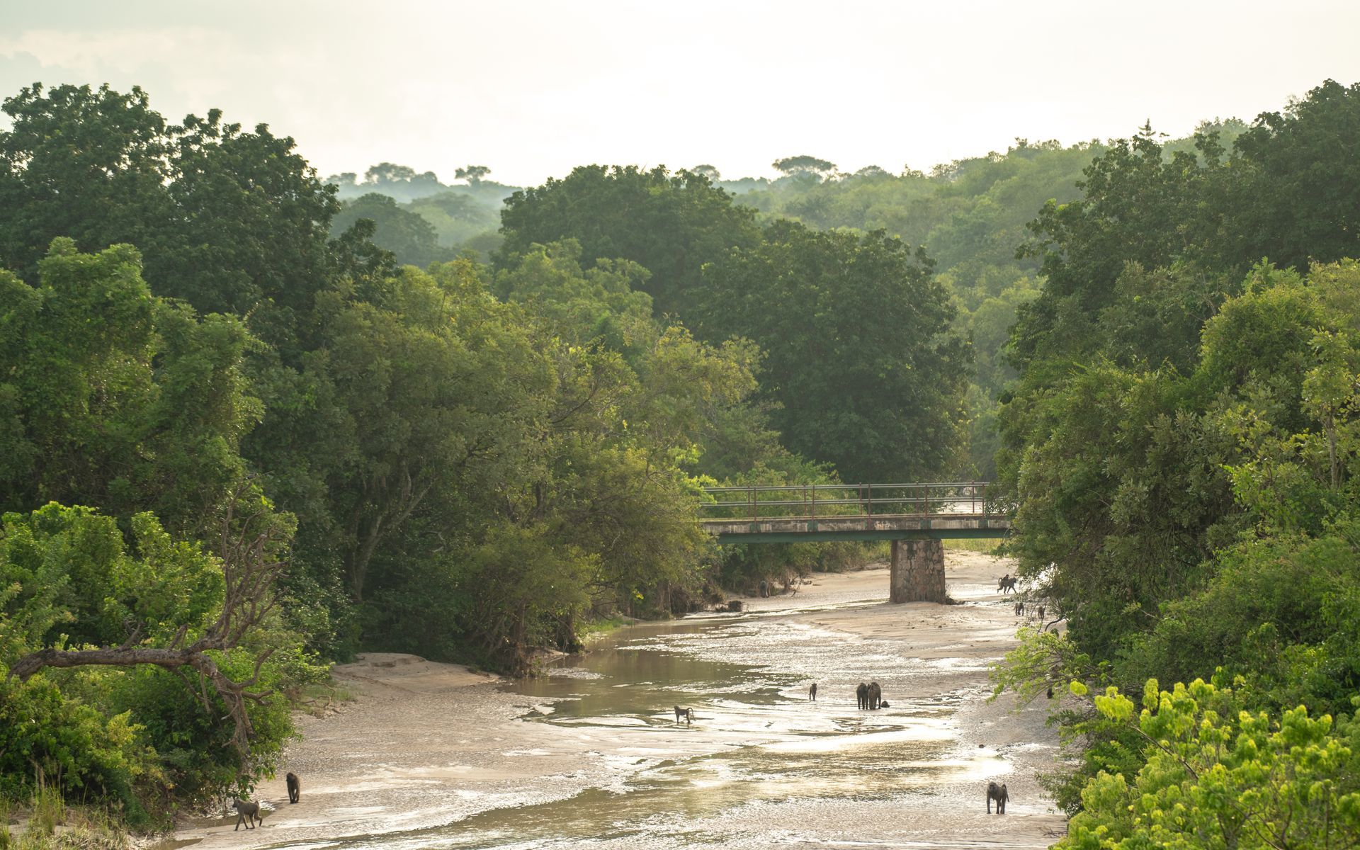 Murchison Falls National Park