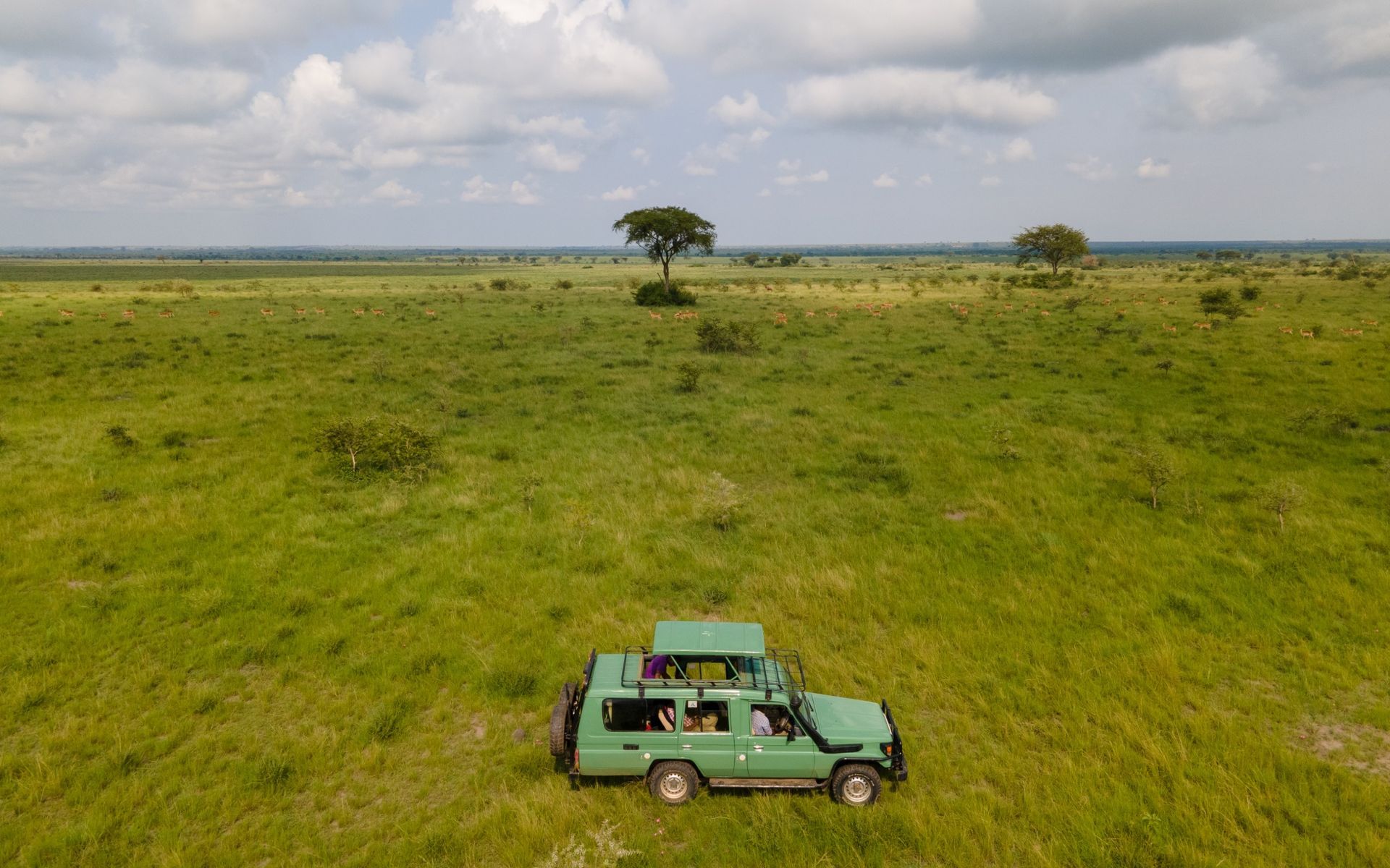 Green safari vehicle on grassy plain; people inside. Trees in background; cloudy sky.