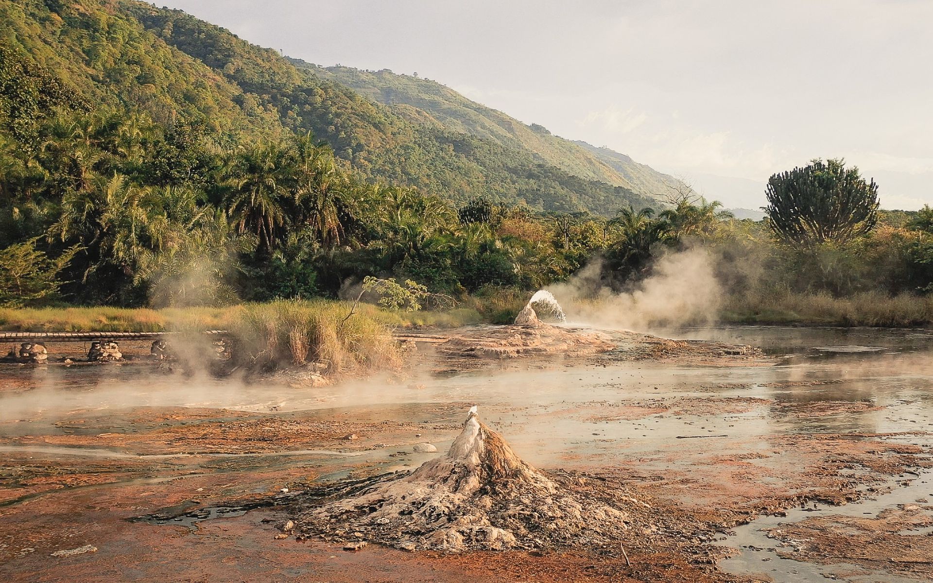Steaming hot springs in a lush, green landscape with a mountain in the background.