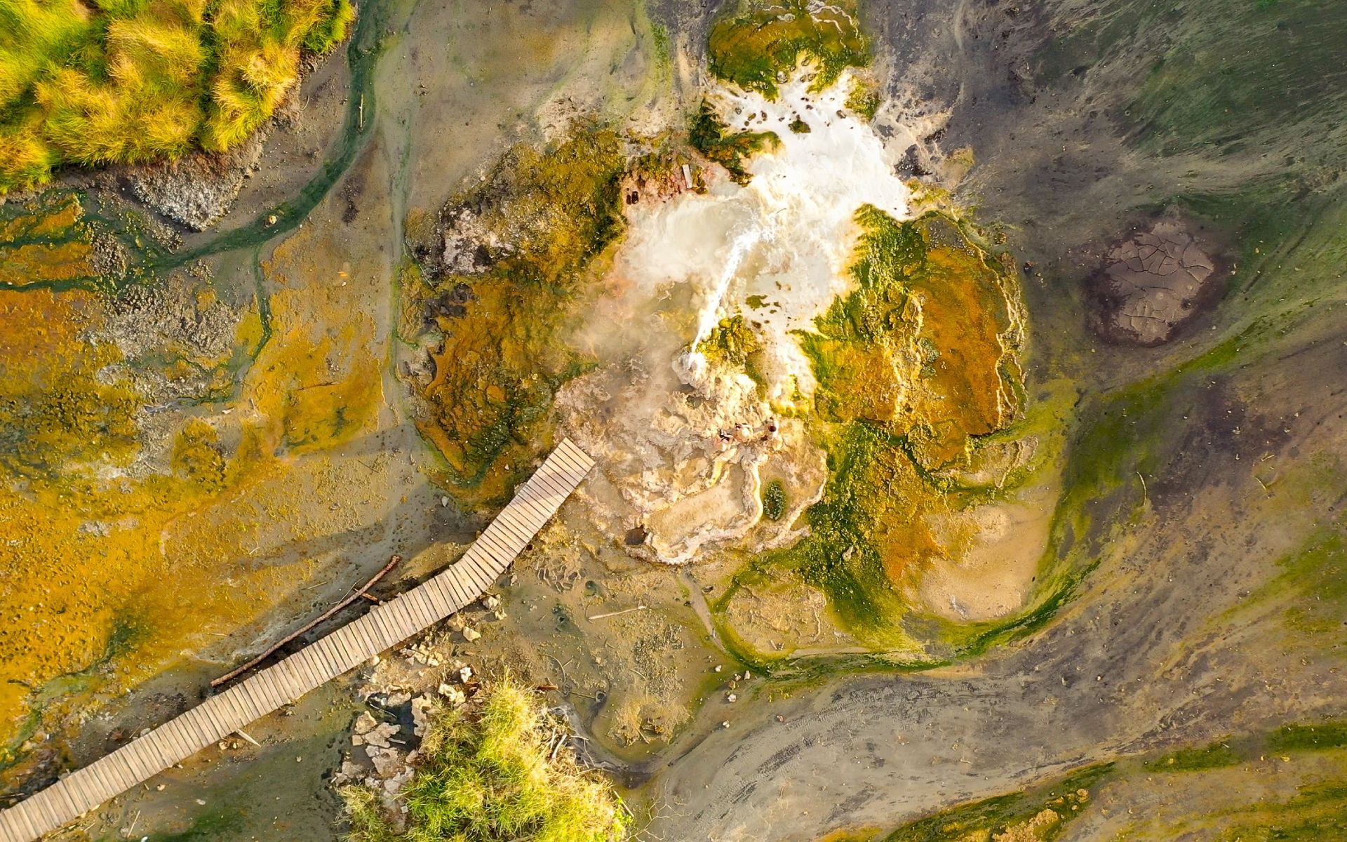 Overhead view of a geothermal spring with a wooden boardwalk, surrounded by yellow and green algae, Iceland.