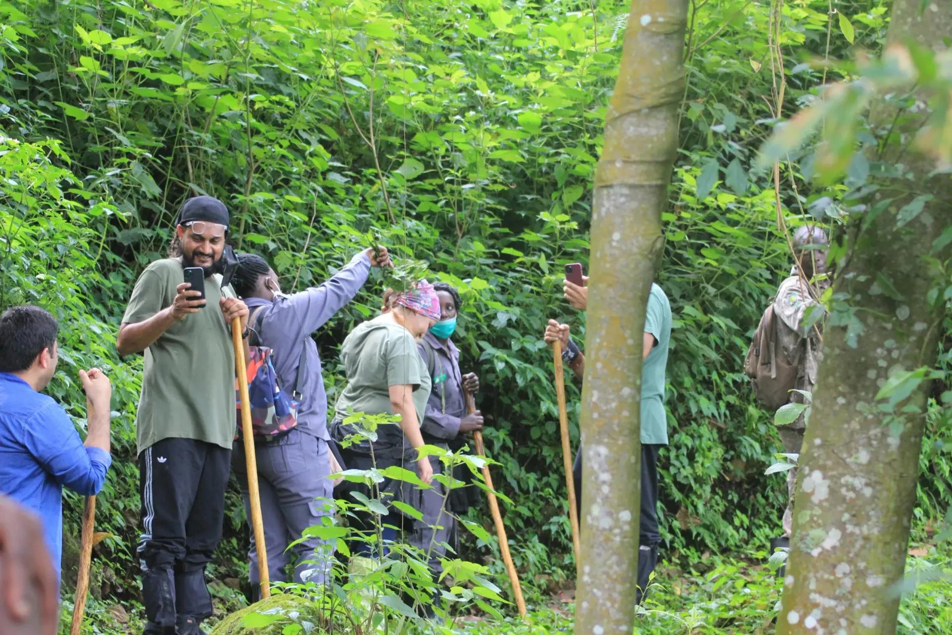 Group of people hiking in a lush green forest, some using walking sticks. One person takes a photo.