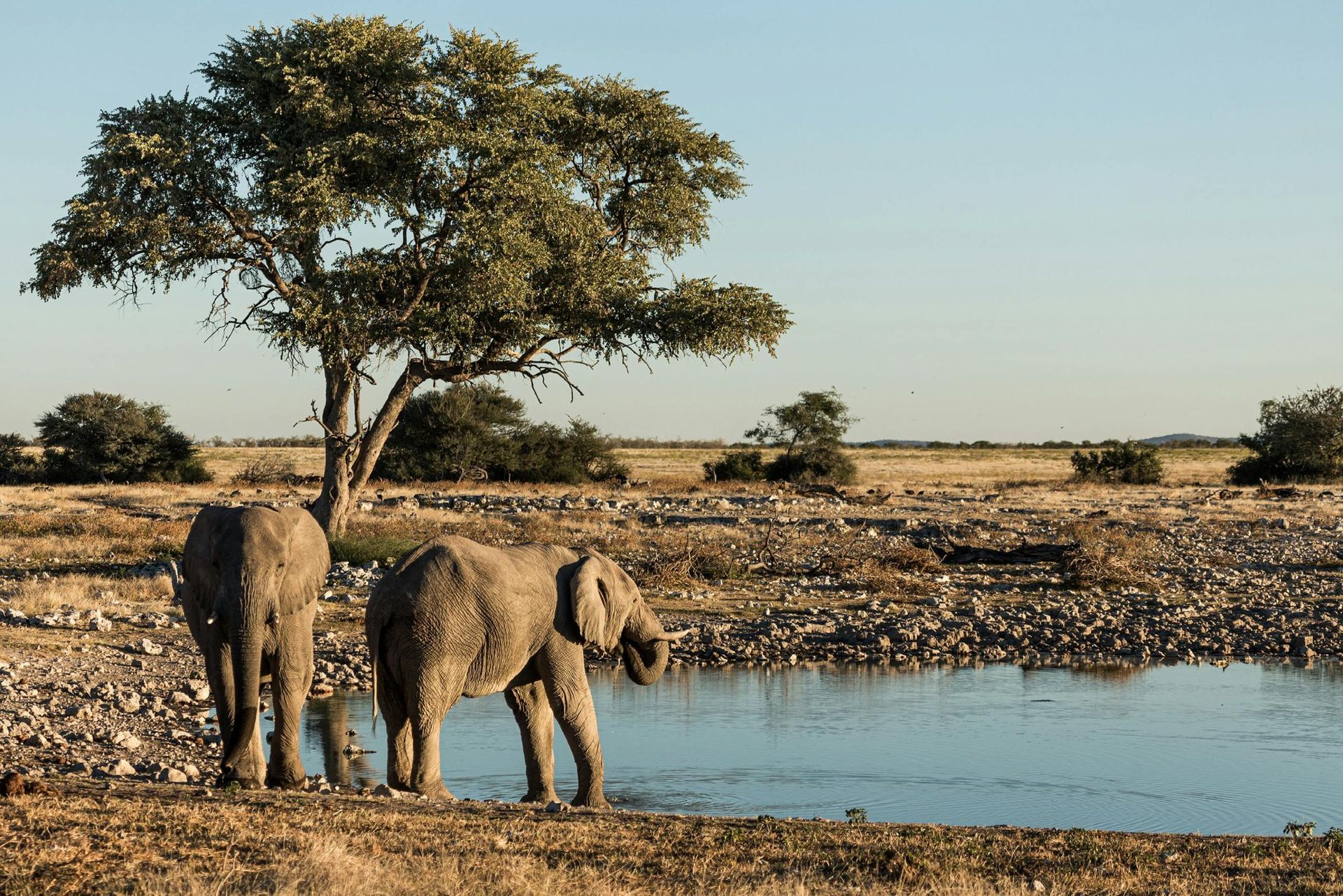 Skeleton Coast National Park