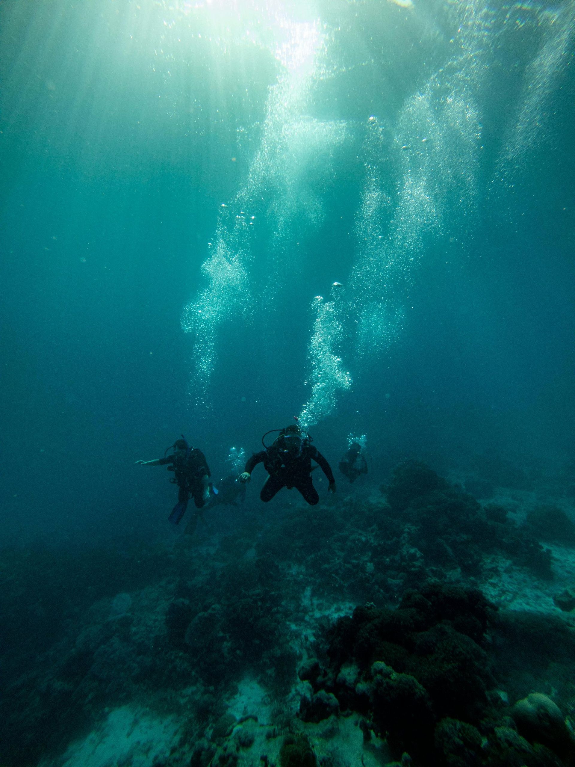Divers exploring underwater; bubbles rise towards the sunlit surface.
