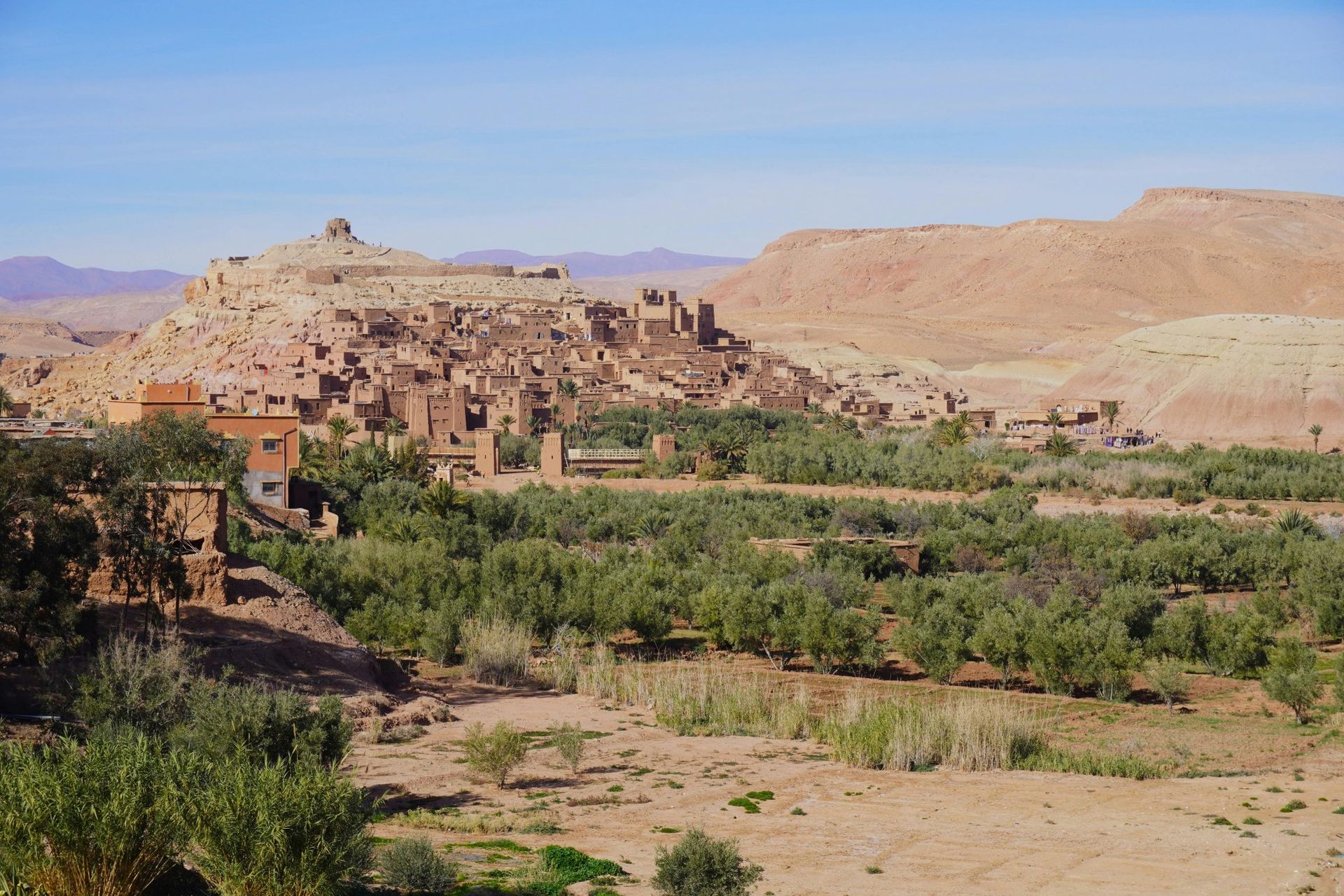 Ancient mud-brick buildings and vegetation in a desert landscape under a clear blue sky.
