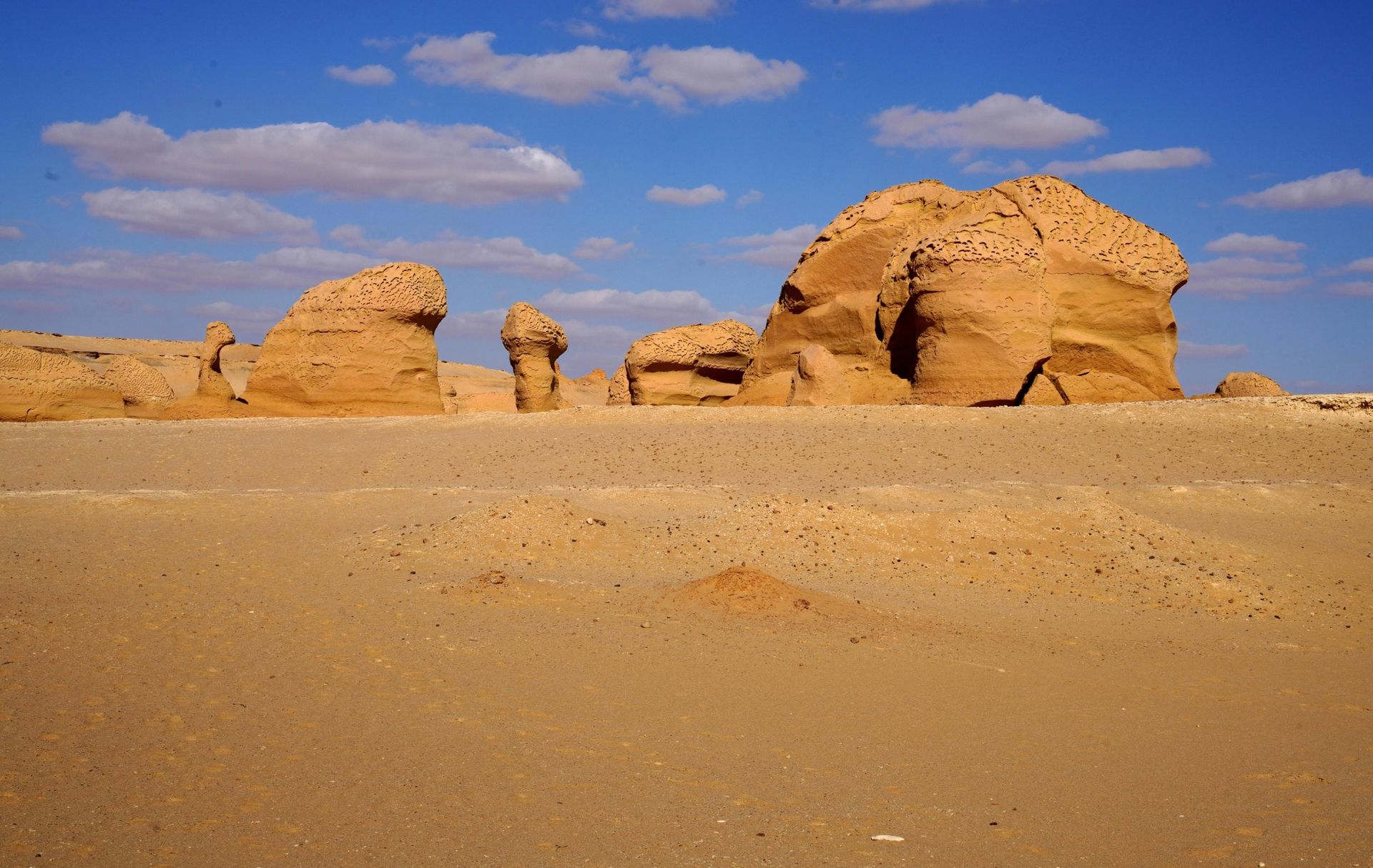 Saint Katherine Protectorate