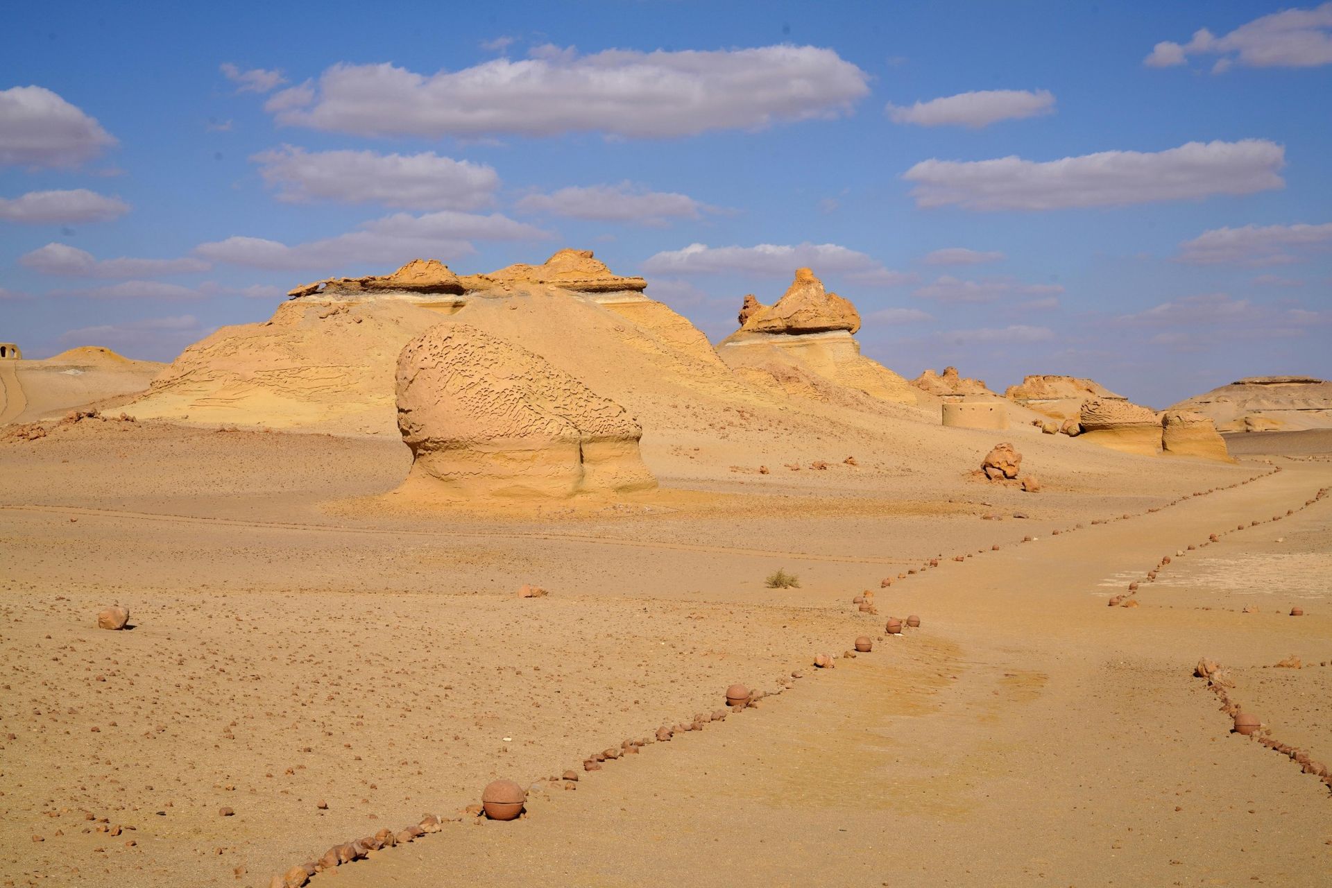 African Fish Eagle perched on a tree branch, white head, brown wings, yellow beak, green foliage.
