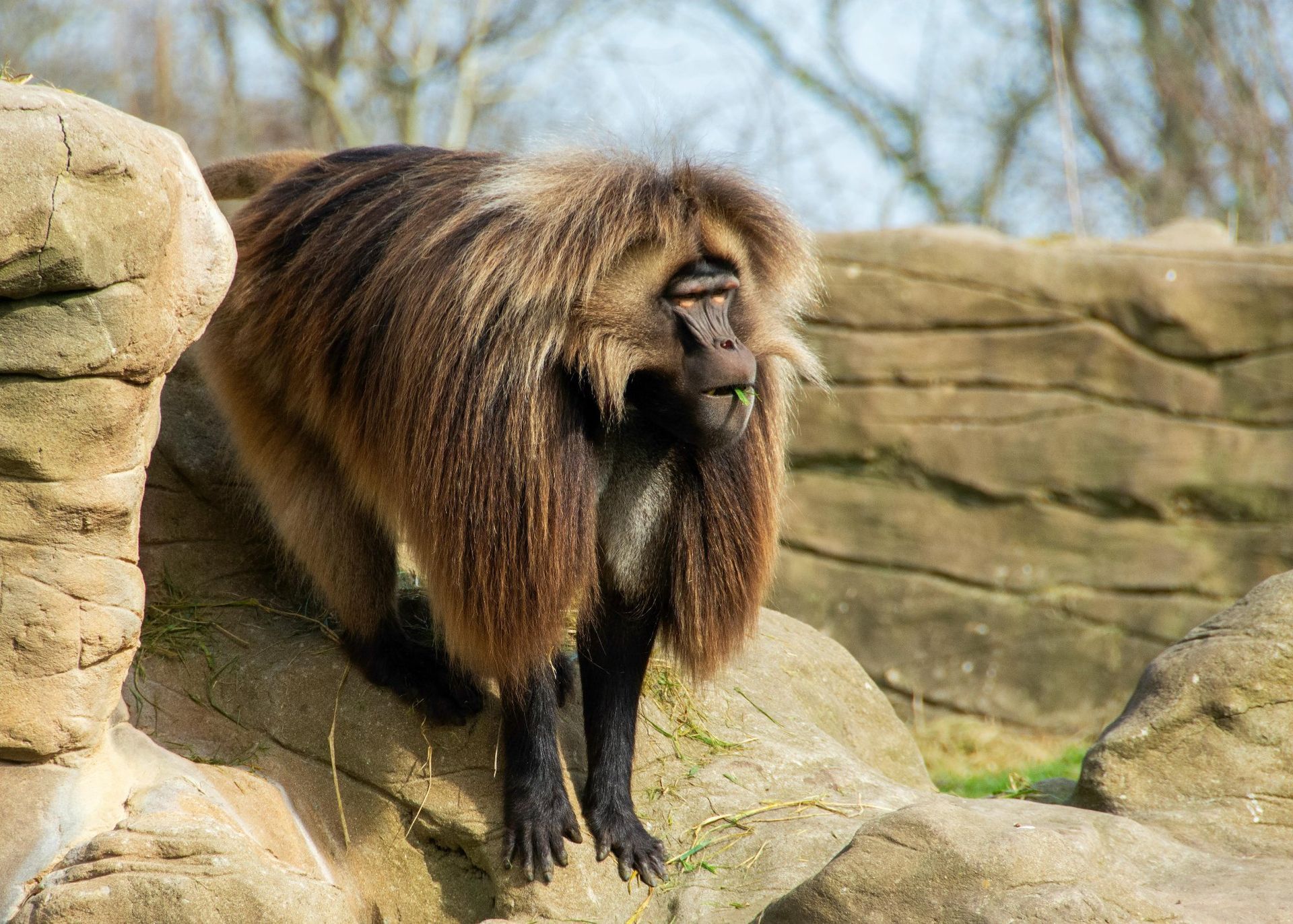 Simien Mountains National Park