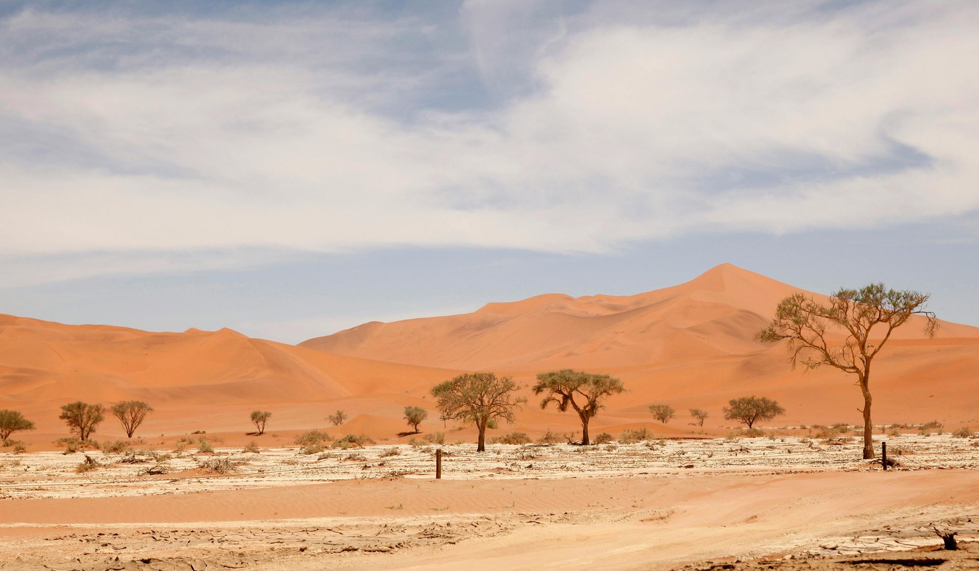 Desert landscape with orange sand dunes, sparse trees, and blue sky.