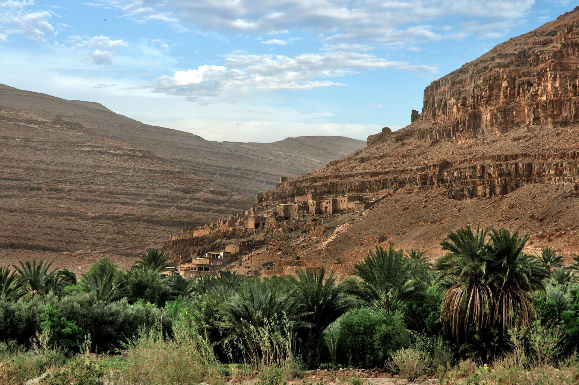 Desert valley with green palms at the base of brown rocky cliffs under a blue sky.