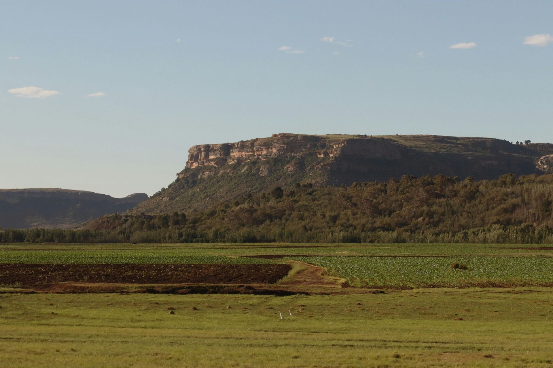 Green fields in front of a large, brown, flat-topped mountain under a blue sky.