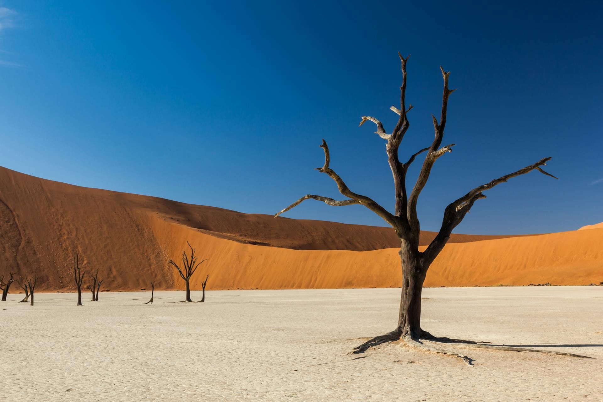 Namib-Naukluft National Park