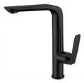 matte black faucet