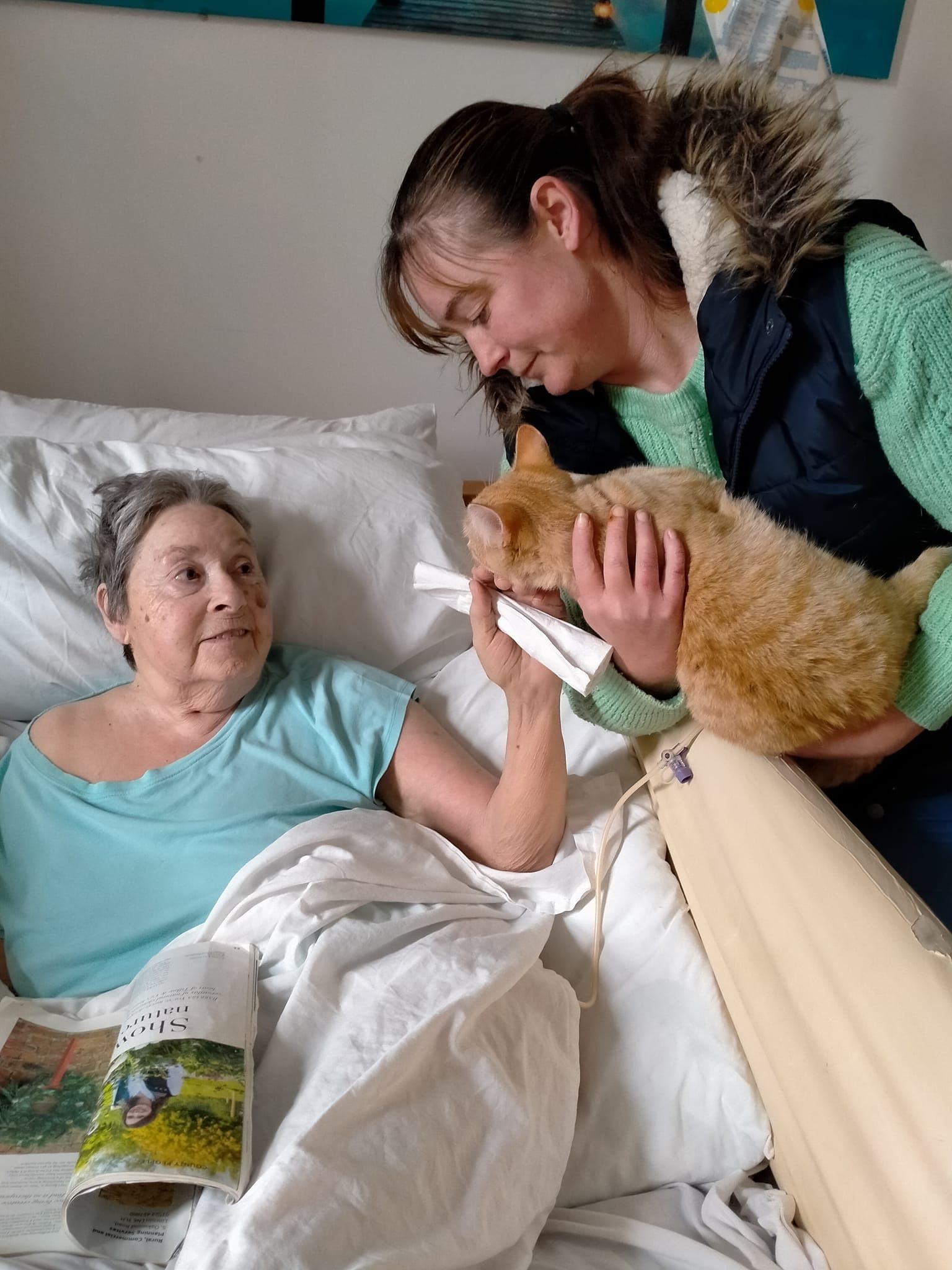 A woman is holding a cat while a woman is laying in a hospital bed.