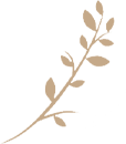 A silhouette of a branch with leaves on a white background.